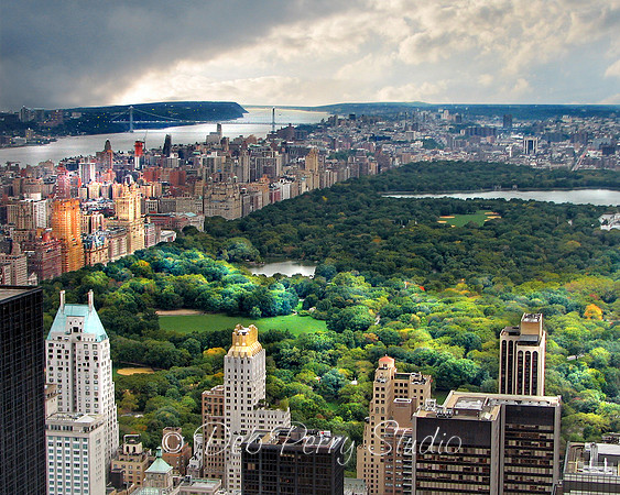 Sunshine on Central Park