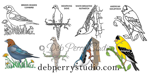 Samples of wild birds
