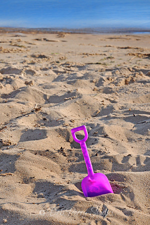 Playtime at the beach