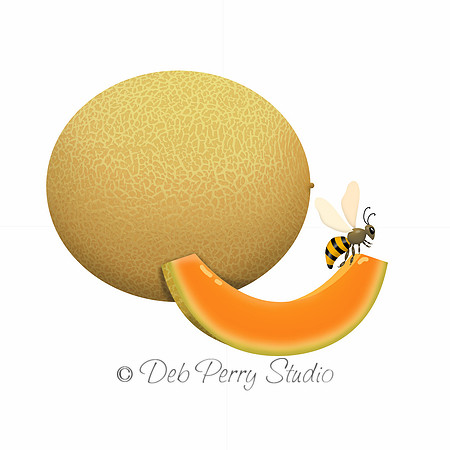 Honey bee with melon
