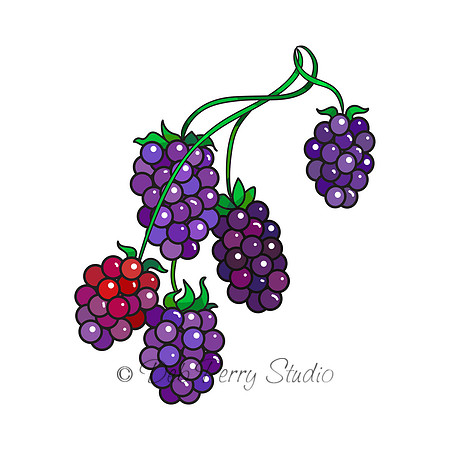 Grapes