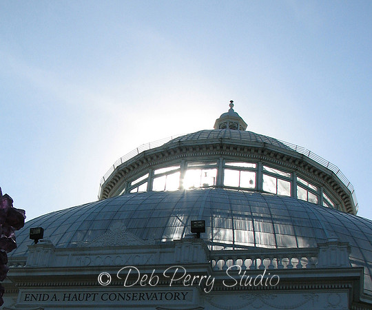 Enid A Haupt Conservatory