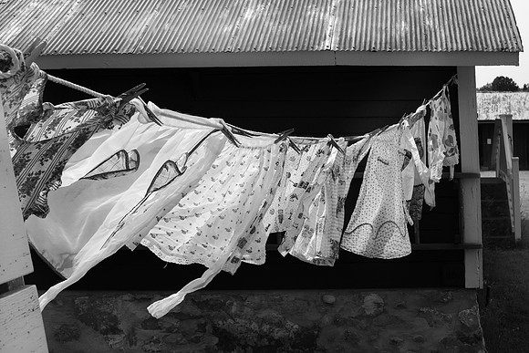 Blowing in the wind B&W (Port Oneida)