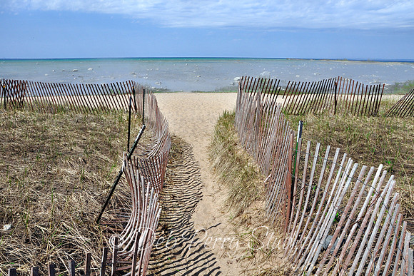 Pathway leading to the beach on Old Mission Peninsula