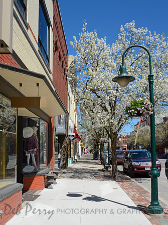 Downtown TC in the spring