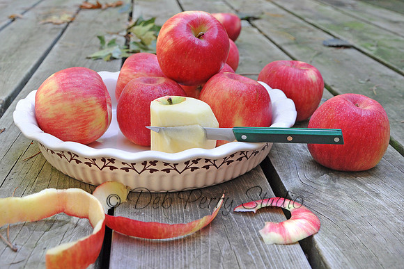 Fall Harvest: Honey Crisp Apples 2