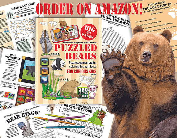 PUZZLED BEARS