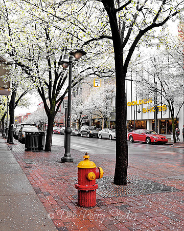 Colorful downtown in the spring