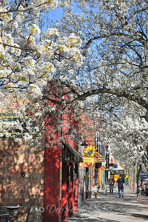 Downtown Traverse City in the spring