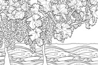 VINEYARDS ON THE BAY