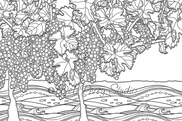 VINEYARDS ON THE BAY